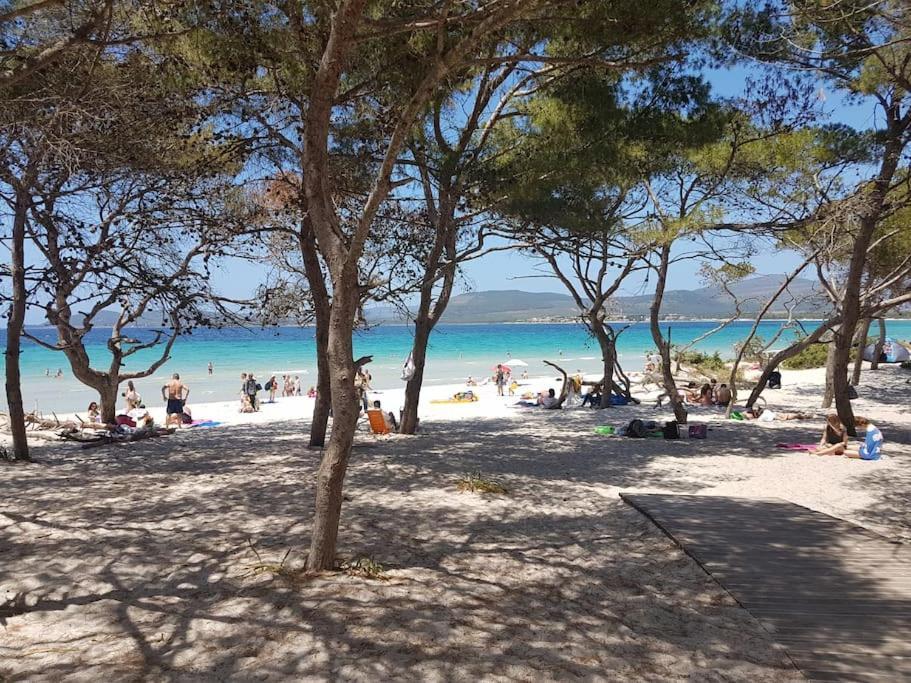 La Perla Bianca - Alghero Lido, Vicino Al Mare Bagian luar foto
